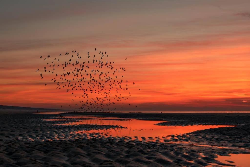 Hoekje Up Katwijk aan Zee Buitenkant foto